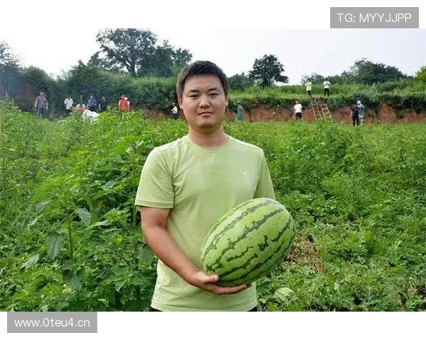 商人企业家西瓜生意成功秘诀揭秘打造农业产业化新模式